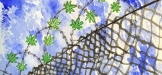 incarceration-nation